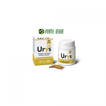 INNOVET URYS 30 capsule birillo monodose